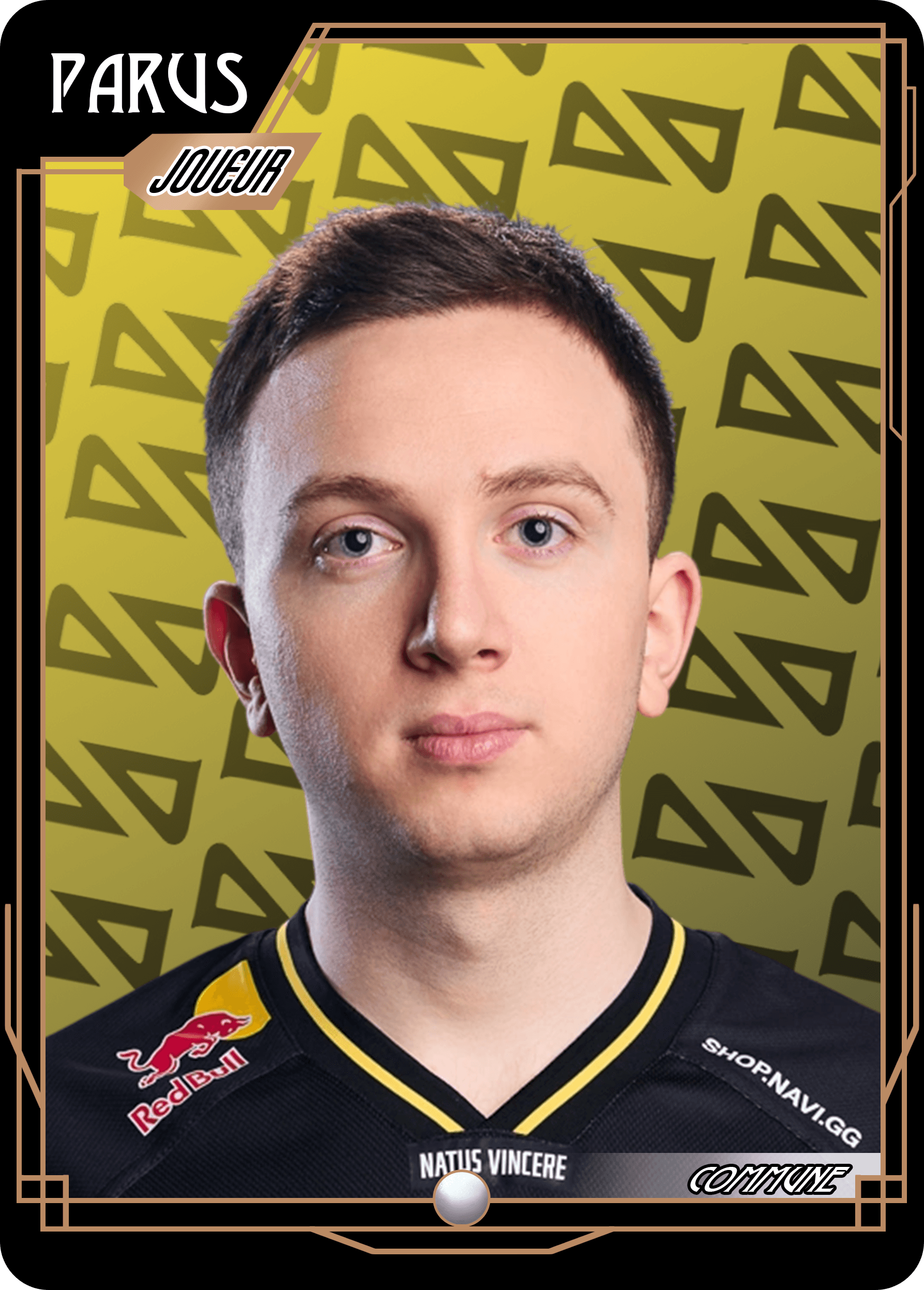 NAVI Parus